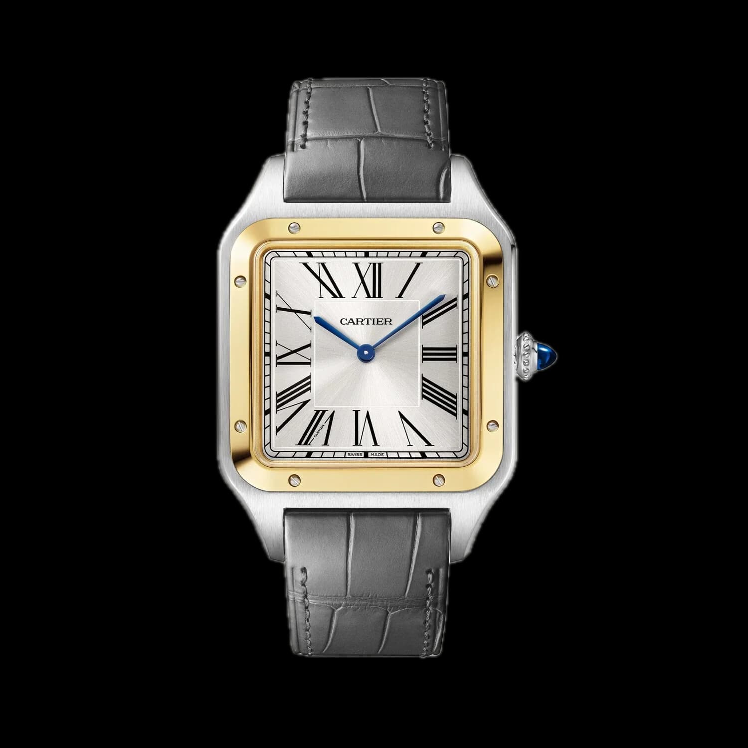 Cartier W2SA0034