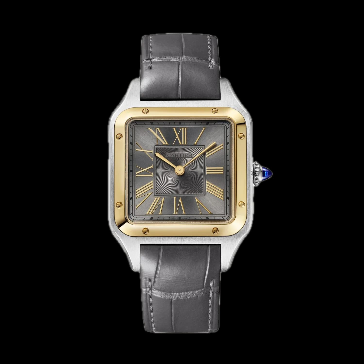 Cartier W2SA0036