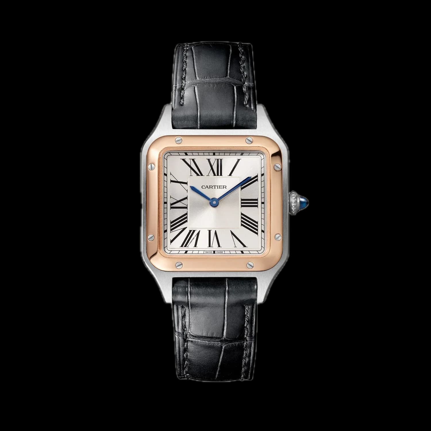 Cartier W2SA0038