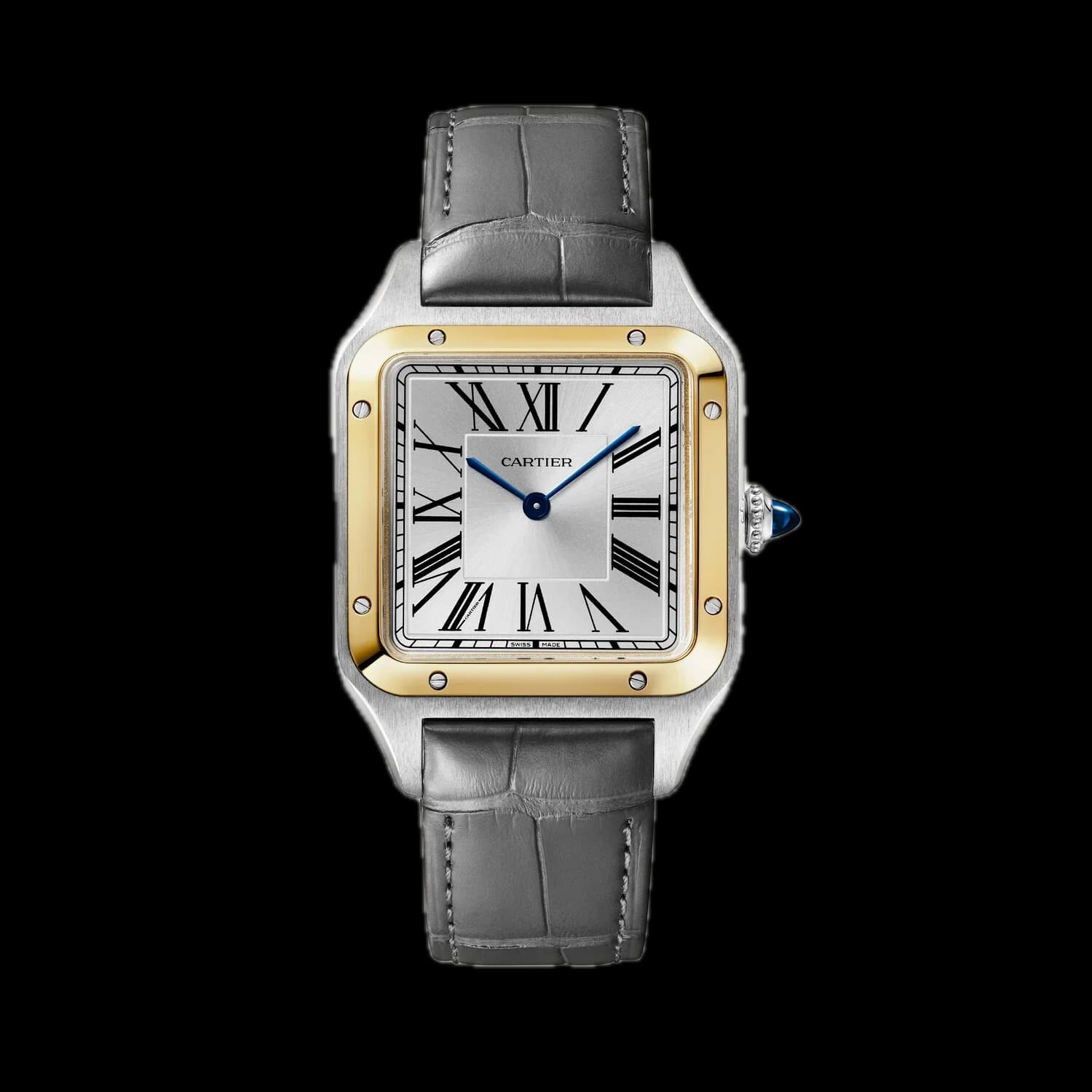 Cartier W2SA0046