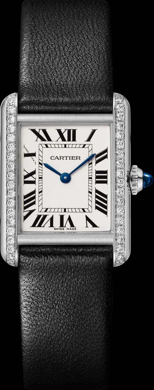 Cartier W4TA0035