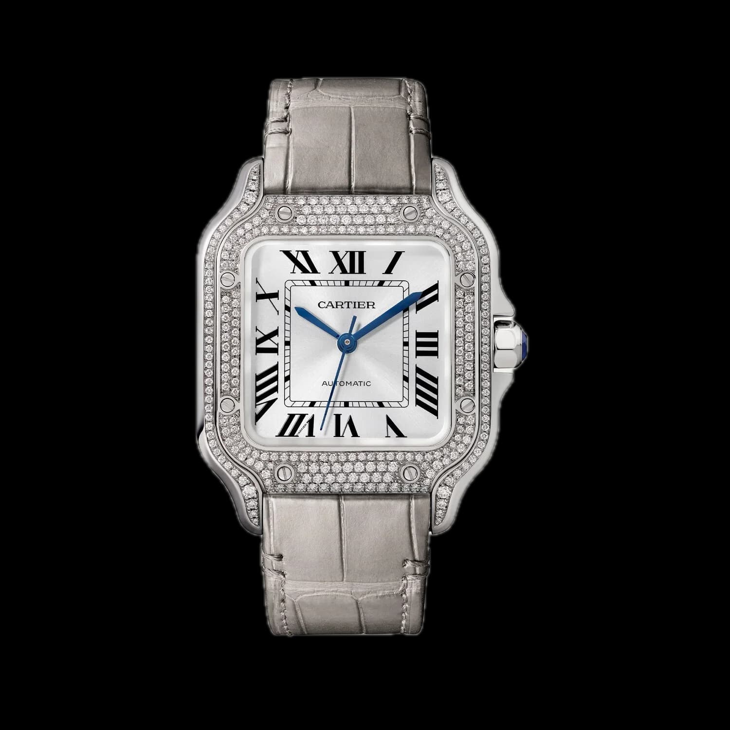 Cartier WJSA0014