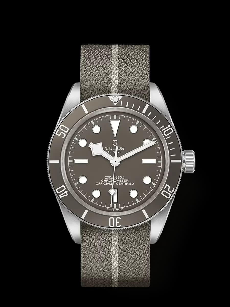 Tudor 79010SG