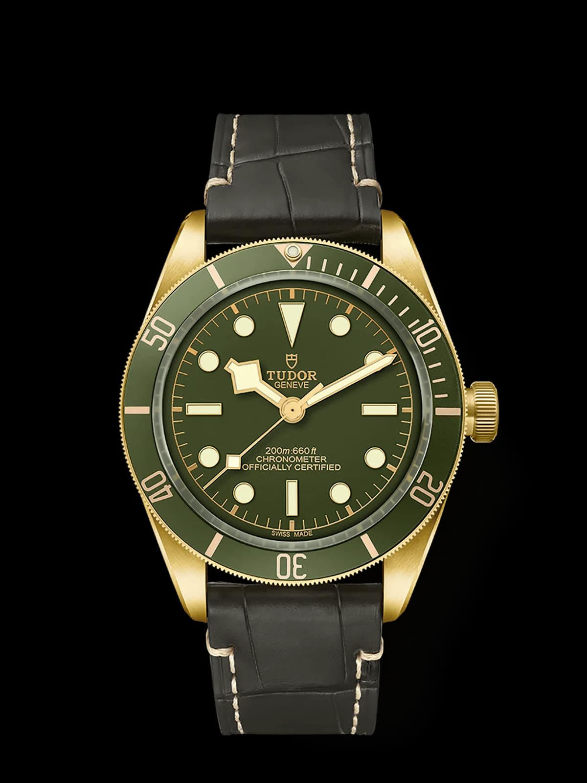 Tudor 79018V