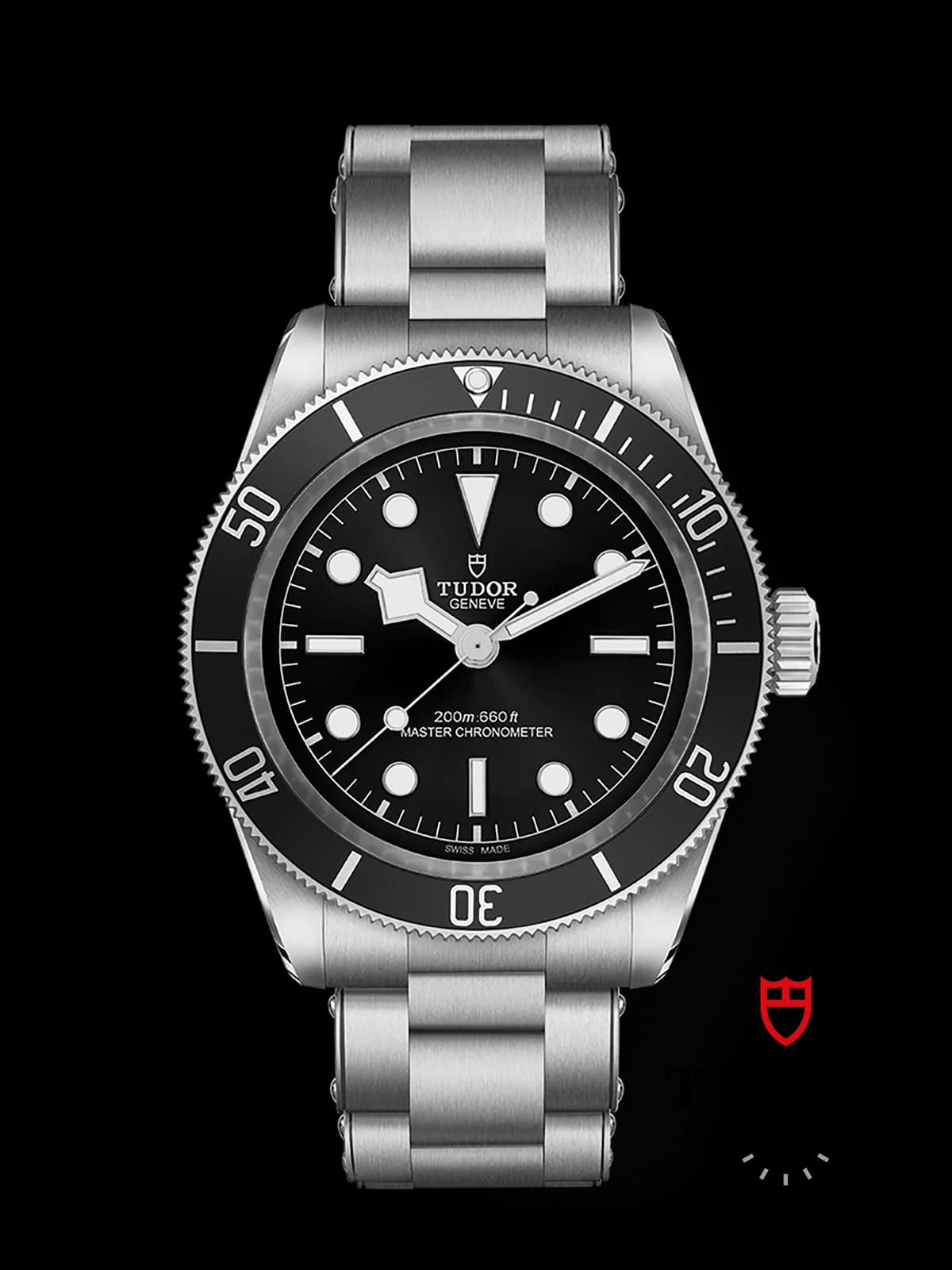 Tudor Black Bay 7941A1A0NU